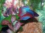 000_0548.JPG