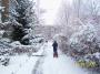000_0685.JPG