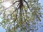 000_1207_25_4_10.jpg