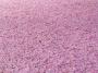 100B3750_05_05_2010.jpg