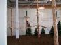 100B7590_13_10_2010.jpg