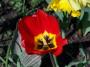 100_0004.JPG