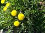 100_0006.JPG