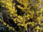 100_0009.JPG