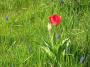 100_0010.JPG