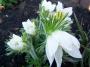 100_0018.JPG