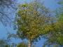100_0210_25_4_10.jpg