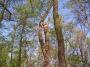 100_0226_25_4_10.jpg