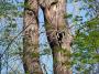 100_0227_25_4_10.jpg