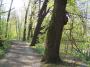 100_0240_25_4_10.jpg