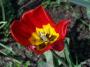 100_0590_25_4_10.jpg