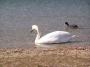 100_0723.jpg