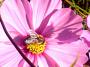 100_0724.jpg