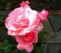 100_2125.JPG