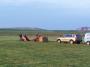 100_2185_02_05_10.jpg