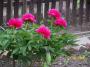 100_2416.JPG