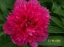 100_2417.JPG