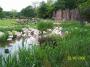 100_2475.JPG