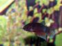 100_2618.JPG