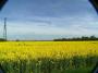 100_3629_05_05_2010.jpg
