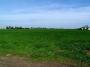 100_3638_05_05_2010.jpg