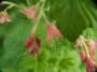 100_3685_05_05_2010.jpg