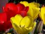 100_3961.JPG