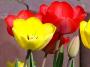 100_3963.JPG
