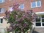100_4085_09_05_2010.jpg