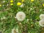 100_4088_09_05_2010.jpg