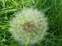 100_4089_09_05_2010.jpg