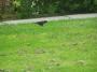 100_4094_09_05_2010.jpg