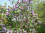 100_4099_09_05_2010.jpg