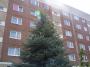 100_4100_09_05_2010.jpg