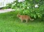 100_4108_09_05_2010.jpg
