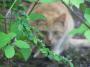 100_4124_09_05_2010.jpg