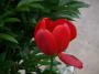100_4130_09_05_2010.jpg
