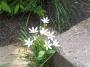 100_4134_09_05_2010.jpg
