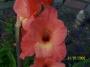 100_4216.JPG