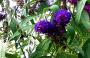 100_4221.JPG