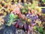 100_4554_23_05_2010.jpg