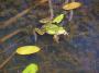 100_4646_14_06_2010.jpg