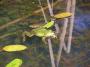 100_4647_14_06_2010.jpg