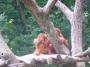 100_4844_05_07_2010.jpg