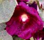 100_4849.JPG
