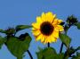 100_5027.jpg