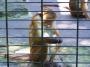 100_5068_09_07_2010.jpg