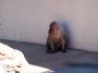100_5080_09_07_2010.jpg