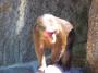 100_5091_09_07_2010.jpg
