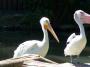 100_5096_09_07_2010.jpg